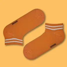 مچی اسپرت دوخط